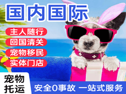 昌北航空快递国际宠物托运 【国